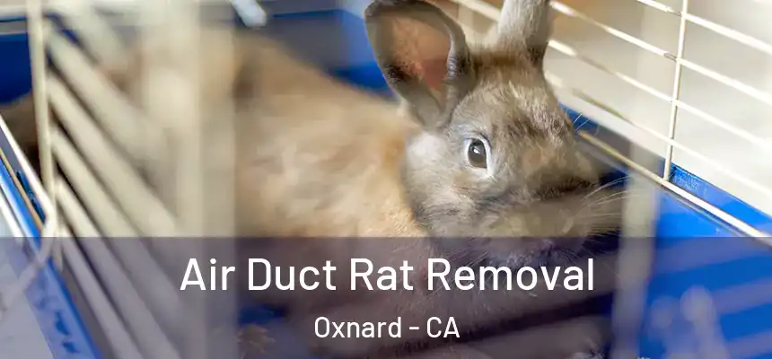 Air Duct Rat Removal Oxnard - CA