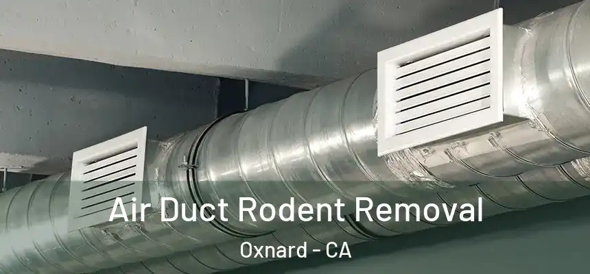 Air Duct Rodent Removal Oxnard - CA