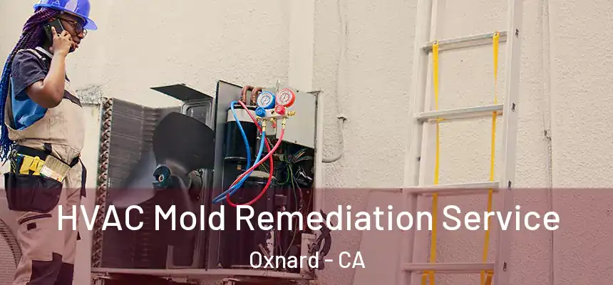 HVAC Mold Remediation Service Oxnard - CA
