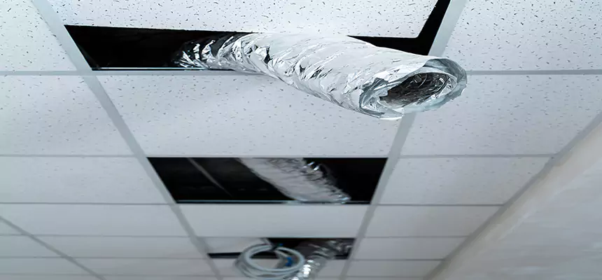 Affordable HVAC Sanitizing After Pest Removal in Oxnard