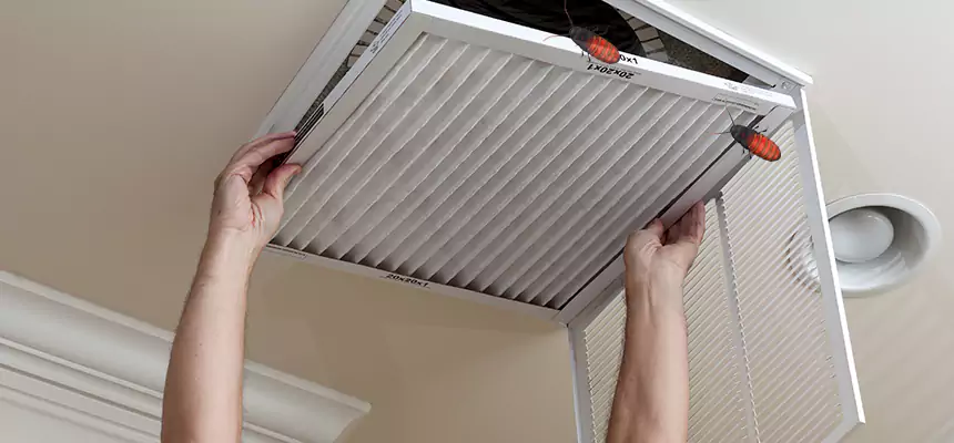 Our Insect Removal from Air Ducts Services in Oxnard, CA