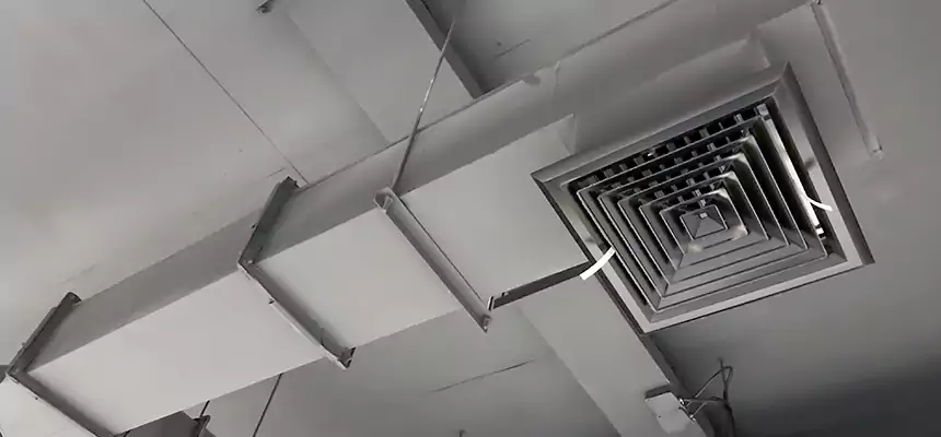 Our Rodent Droppings In Vents Services in Oxnard, CA