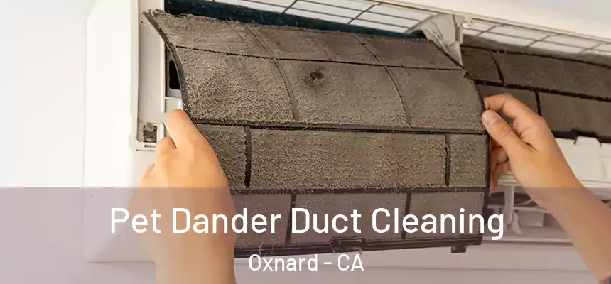 Pet Dander Duct Cleaning Oxnard - CA