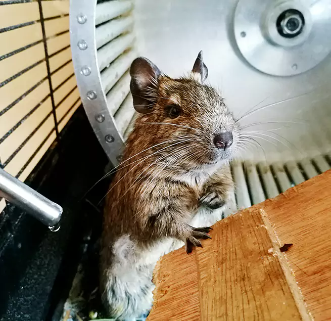 Why Homeowners & Businesses Trust Us Oxnard, CA?