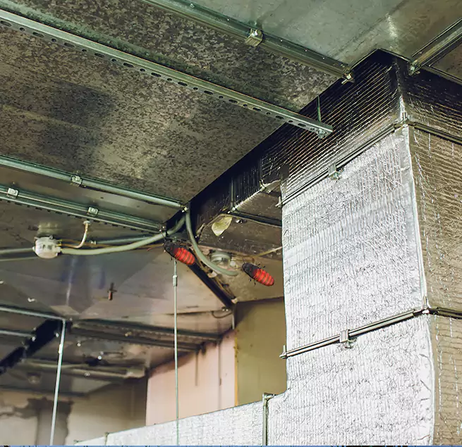 Why Homeowners & Businesses Trust Us Oxnard, CA?